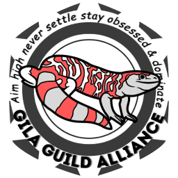 GILA GUILD ALLIANCE