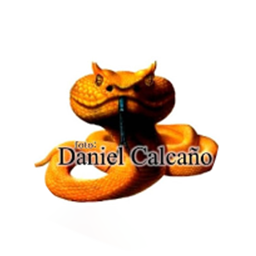 Culebrero guild