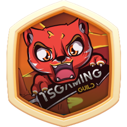 TSGaming Guild
